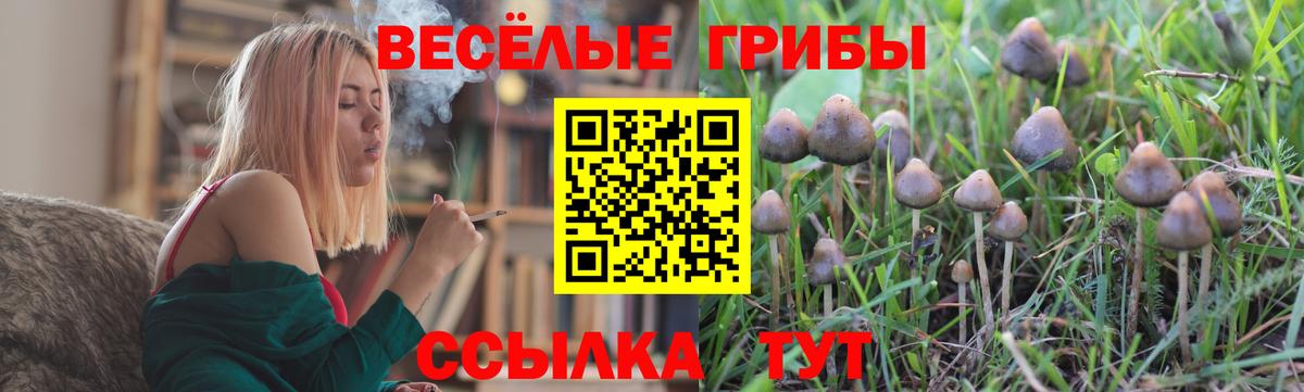 Галлюциногенные грибы GOLDEN TEACHER  Вход с VPN  Галлюциногенные грибы Cubensis  Кудрово 